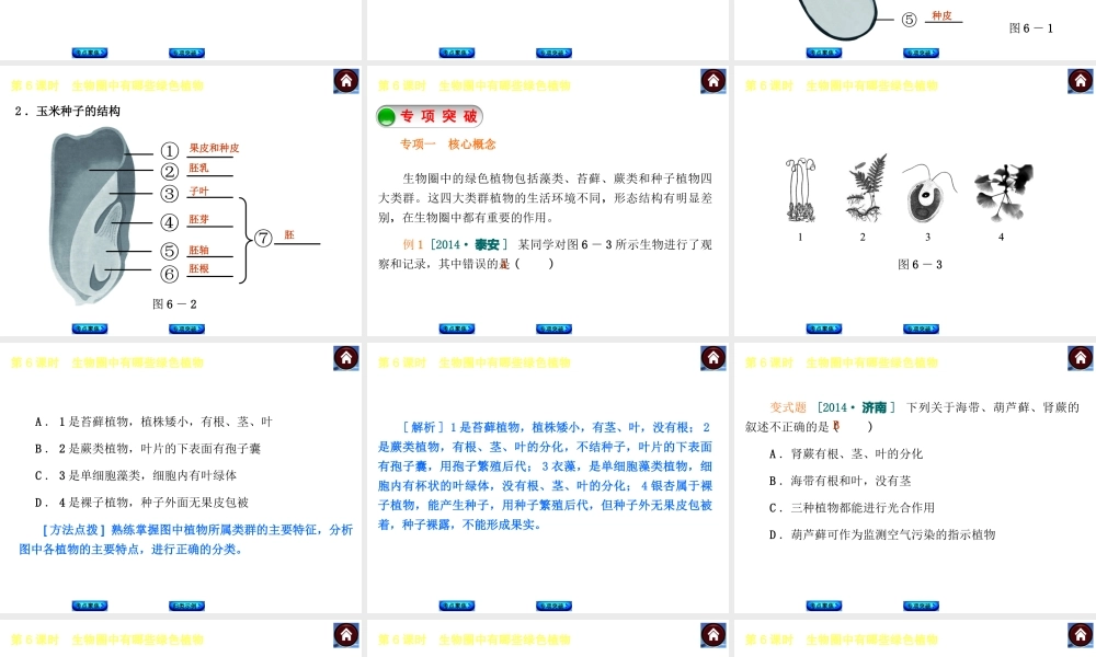 【中考复习方案】2015中考生物总复习 第6课时 生物圈中有哪些绿色植物课件（考点聚焦+归类探究+回归教材）