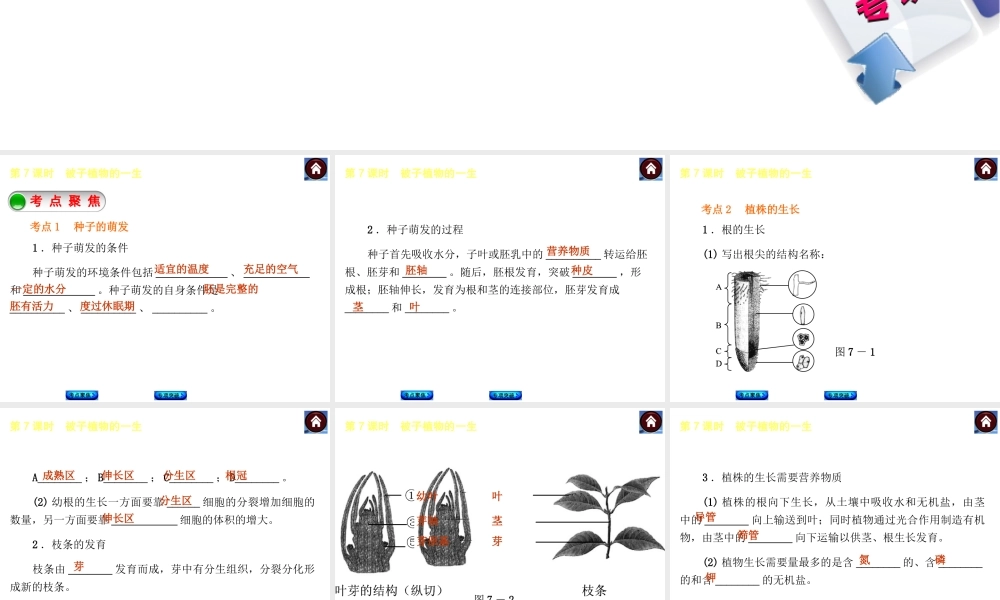 【中考复习方案】2015中考生物总复习 第7课时 被子植物的一生课件（考点聚焦+归类探究+回归教材）