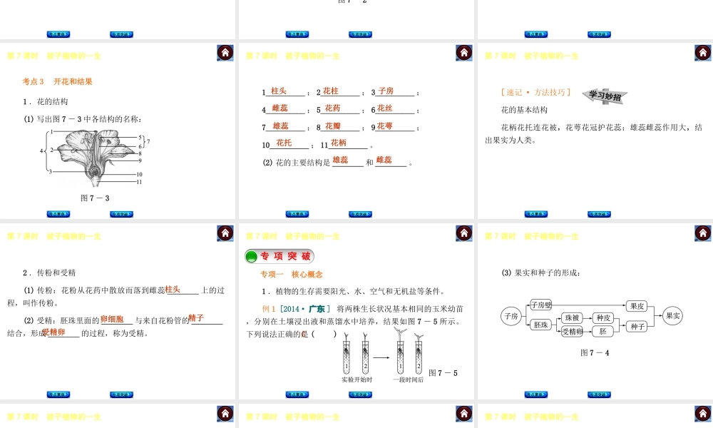 【中考复习方案】2015中考生物总复习 第7课时 被子植物的一生课件（考点聚焦+归类探究+回归教材）