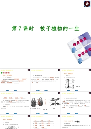 【中考复习方案】2015中考生物总复习 第7课时 被子植物的一生课件（考点聚焦+归类探究+回归教材）