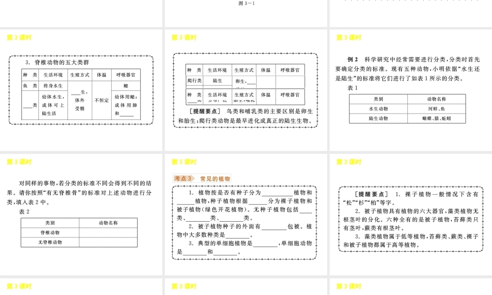 《中考复习方案》九年级科学 第3课时常见的生物课件 浙教版