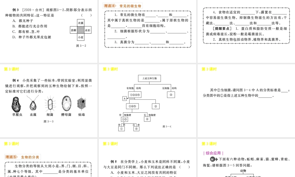 《中考复习方案》九年级科学 第3课时常见的生物课件 浙教版