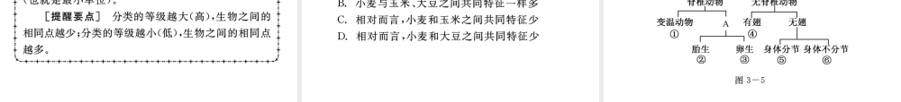 《中考复习方案》九年级科学 第3课时常见的生物课件 浙教版