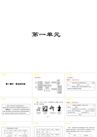 《中考复习方案》九年级科学 第3课时常见的生物课件 浙教版