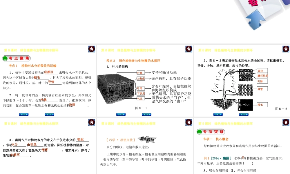 【中考复习方案】2015中考生物总复习 第8课时 绿色植物与生物圈的水循环课件（考点聚焦+归类探究+回归教材）
