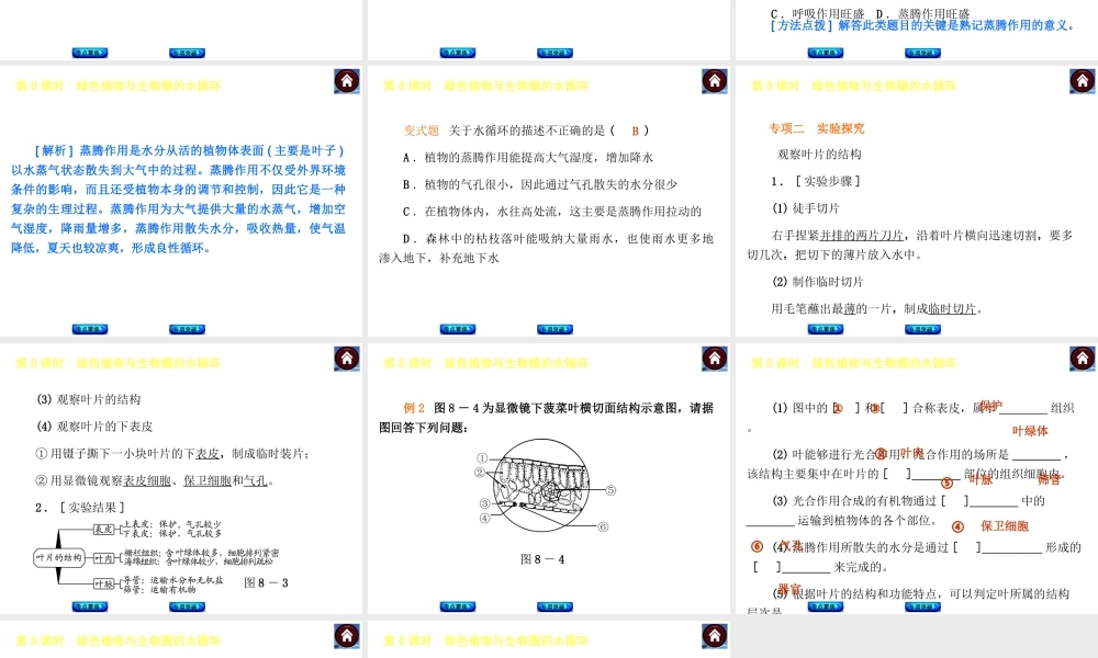 【中考复习方案】2015中考生物总复习 第8课时 绿色植物与生物圈的水循环课件（考点聚焦+归类探究+回归教材）
