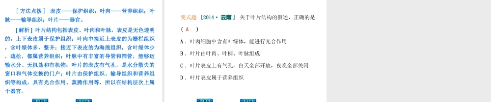 【中考复习方案】2015中考生物总复习 第8课时 绿色植物与生物圈的水循环课件（考点聚焦+归类探究+回归教材）