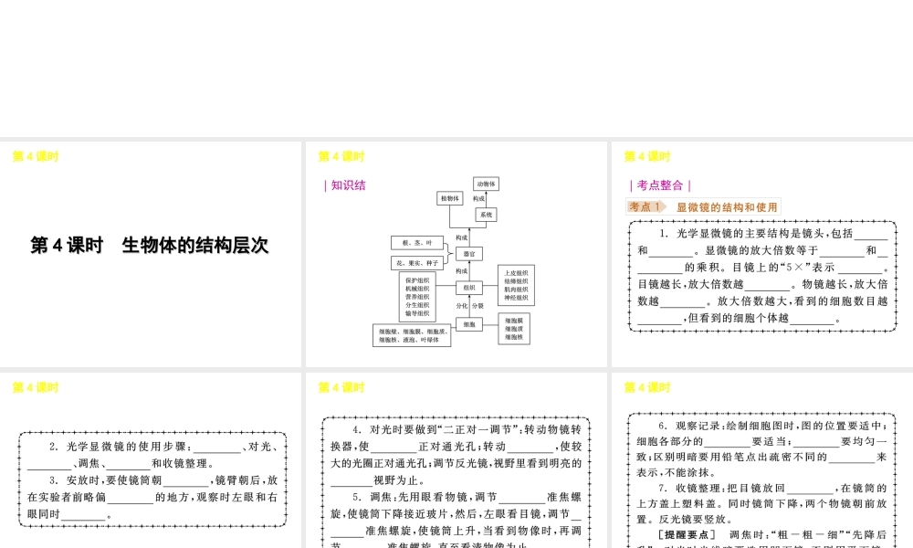 《中考复习方案》九年级科学 第4课时生物体的结构层次课件 浙教版