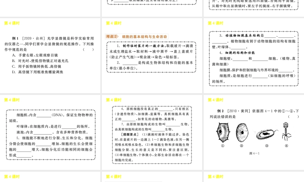 《中考复习方案》九年级科学 第4课时生物体的结构层次课件 浙教版