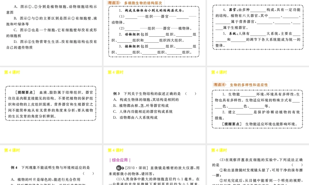 《中考复习方案》九年级科学 第4课时生物体的结构层次课件 浙教版