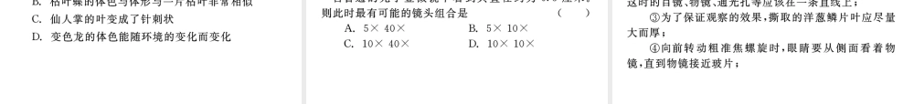 《中考复习方案》九年级科学 第4课时生物体的结构层次课件 浙教版