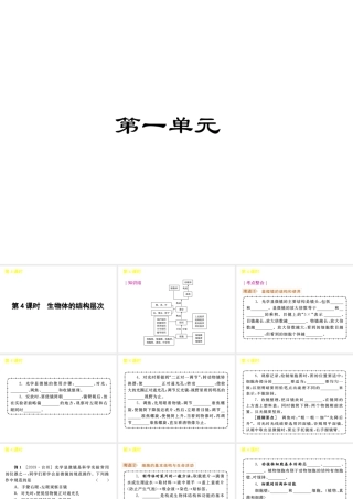 《中考复习方案》九年级科学 第4课时生物体的结构层次课件 浙教版