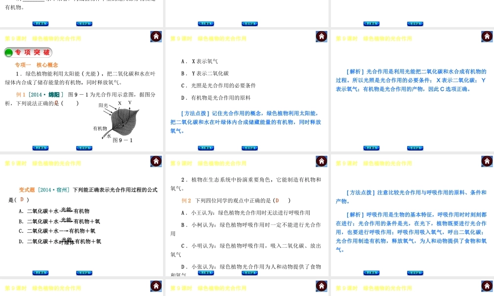 【中考复习方案】2015中考生物总复习 第9课时 绿色植物的光合作用课件（考点聚焦+归类探究+回归教材）