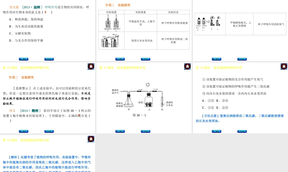 【中考复习方案】2015中考生物总复习 第10课时 绿色植物的呼吸作用课件（考点聚焦+归类探究+回归教材）