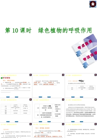 【中考复习方案】2015中考生物总复习 第10课时 绿色植物的呼吸作用课件（考点聚焦+归类探究+回归教材）