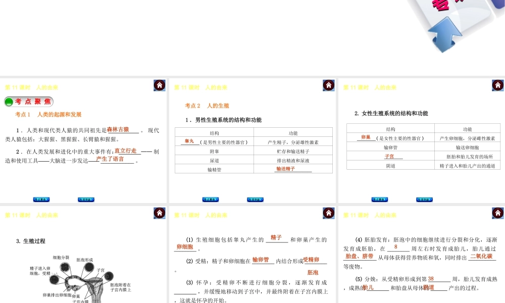 【中考复习方案】2015中考生物总复习 第11课时 人的由来课件（考点聚焦+归类探究+回归教材）