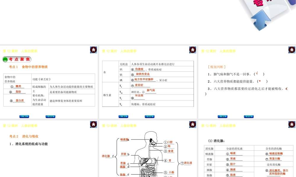 【中考复习方案】2015中考生物总复习 第12课时 人体的营养课件（考点聚焦+归类探究+回归教材）