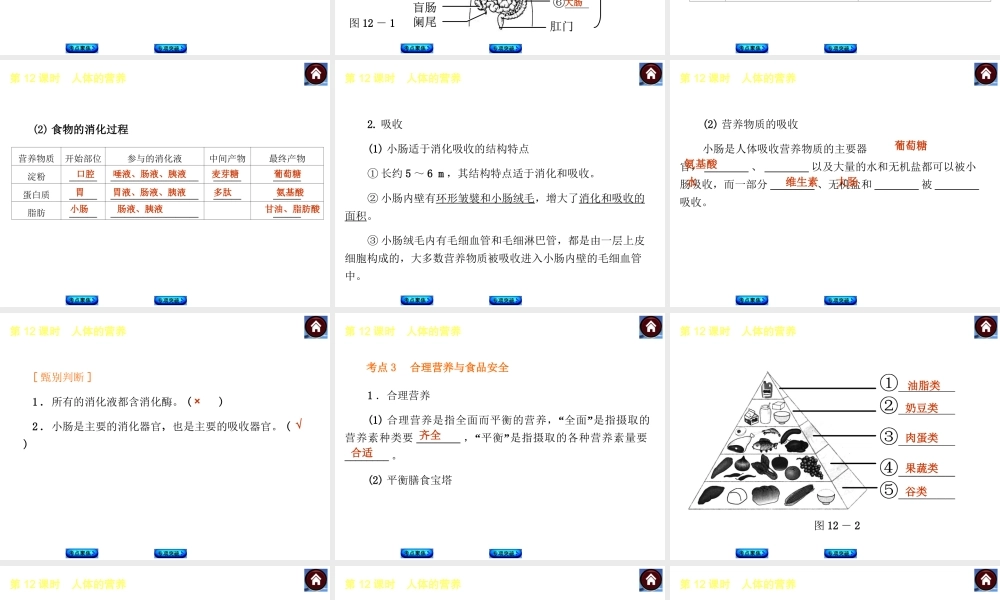 【中考复习方案】2015中考生物总复习 第12课时 人体的营养课件（考点聚焦+归类探究+回归教材）