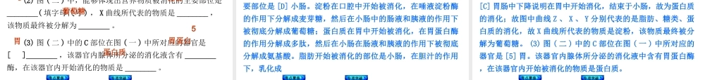 【中考复习方案】2015中考生物总复习 第12课时 人体的营养课件（考点聚焦+归类探究+回归教材）