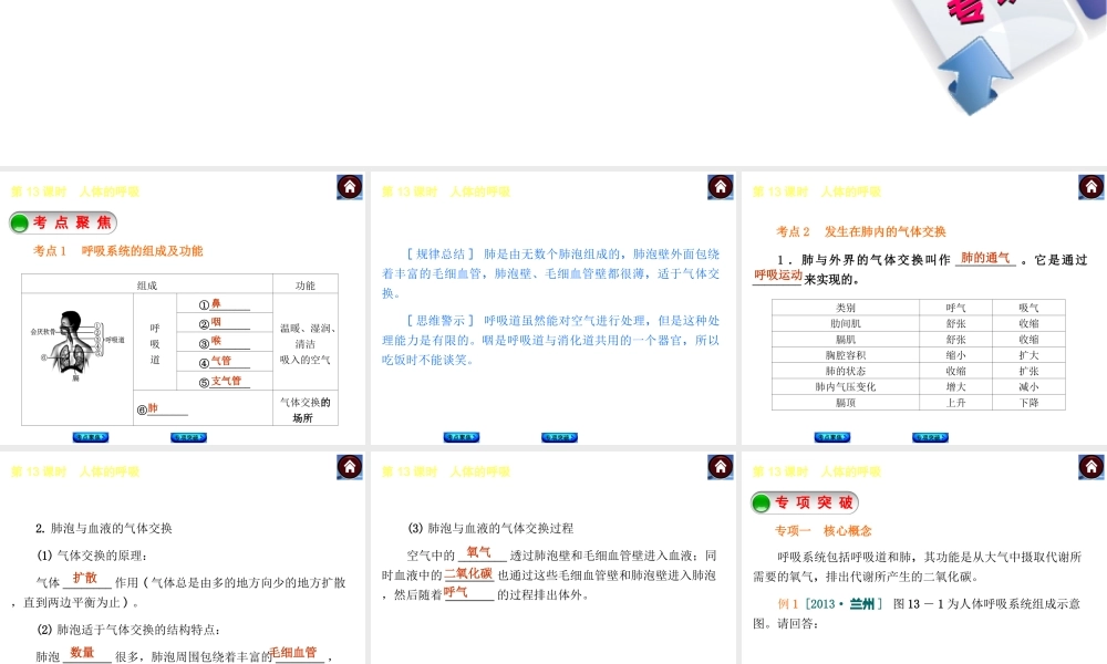 【中考复习方案】2015中考生物总复习 第13课时 人体的呼吸课件（考点聚焦+归类探究+回归教材）