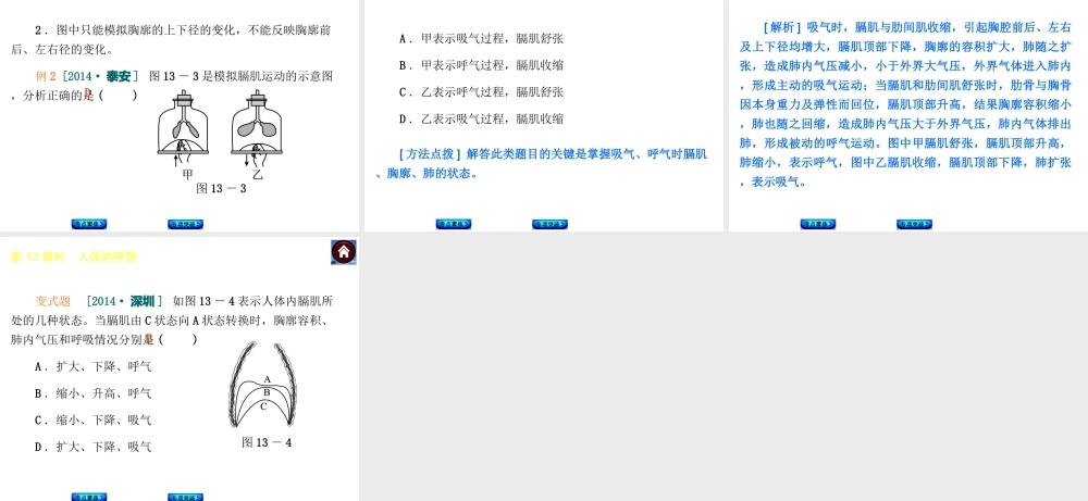 【中考复习方案】2015中考生物总复习 第13课时 人体的呼吸课件（考点聚焦+归类探究+回归教材）