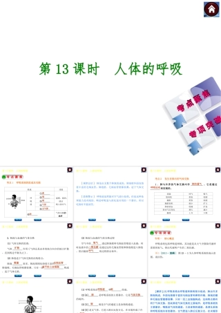 【中考复习方案】2015中考生物总复习 第13课时 人体的呼吸课件（考点聚焦+归类探究+回归教材）