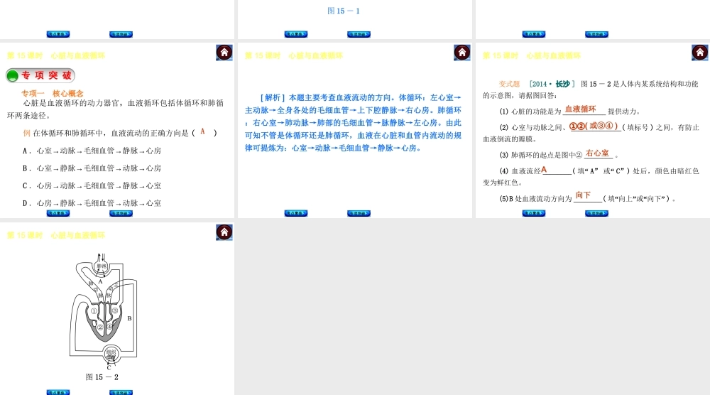 【中考复习方案】2015中考生物总复习 第15课时 心脏与血液循环课件（考点聚焦+归类探究+回归教材）
