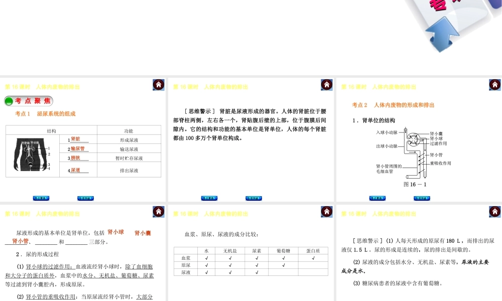 【中考复习方案】2015中考生物总复习 第16课时 人体内废物的排出课件（考点聚焦+归类探究+回归教材）