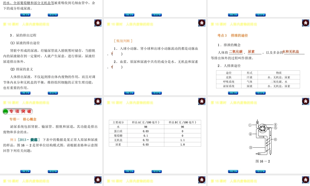 【中考复习方案】2015中考生物总复习 第16课时 人体内废物的排出课件（考点聚焦+归类探究+回归教材）