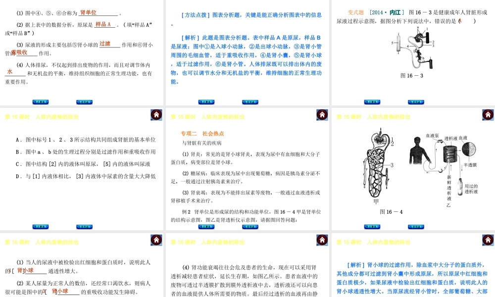 【中考复习方案】2015中考生物总复习 第16课时 人体内废物的排出课件（考点聚焦+归类探究+回归教材）