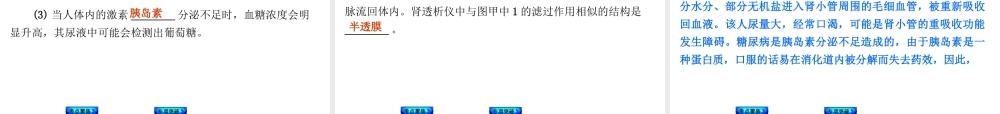 【中考复习方案】2015中考生物总复习 第16课时 人体内废物的排出课件（考点聚焦+归类探究+回归教材）