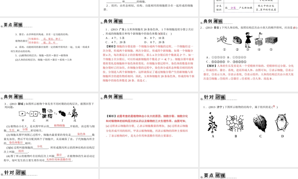 【中考面对面】浙江省2015中考科学总复习 第1讲 生物结构层次与分类课件
