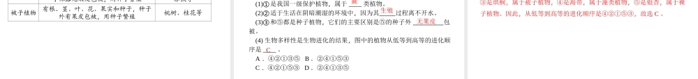 【中考面对面】浙江省2015中考科学总复习 第1讲 生物结构层次与分类课件