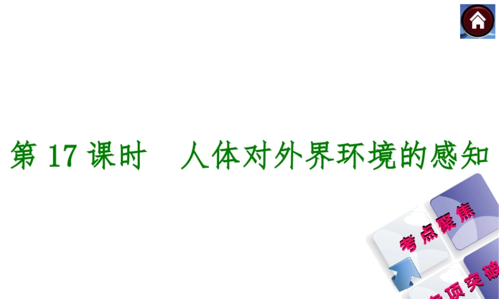 【中考复习方案】2015中考生物总复习 第17课时 人体对外界环境的感知课件（考点聚焦+归类探究+回归教材）