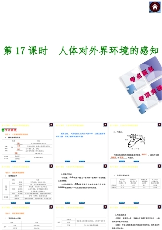 【中考复习方案】2015中考生物总复习 第17课时 人体对外界环境的感知课件（考点聚焦+归类探究+回归教材）