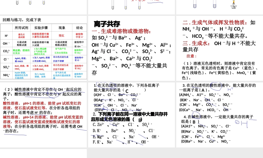 【冲刺中考】2013中考化学难点突破专题21 离子共存与检验课件