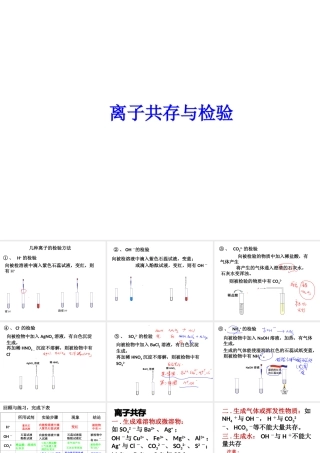 【冲刺中考】2013中考化学难点突破专题21 离子共存与检验课件
