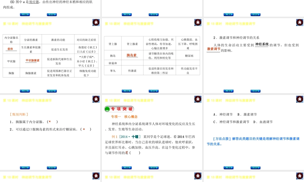 【中考复习方案】2015中考生物总复习 第18课时 神经调节与激素调节课件（考点聚焦+归类探究+回归教材）