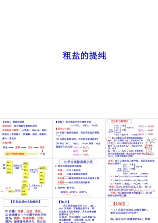 【冲刺中考】2013中考化学难点突破专题22 粗盐的提纯课件
