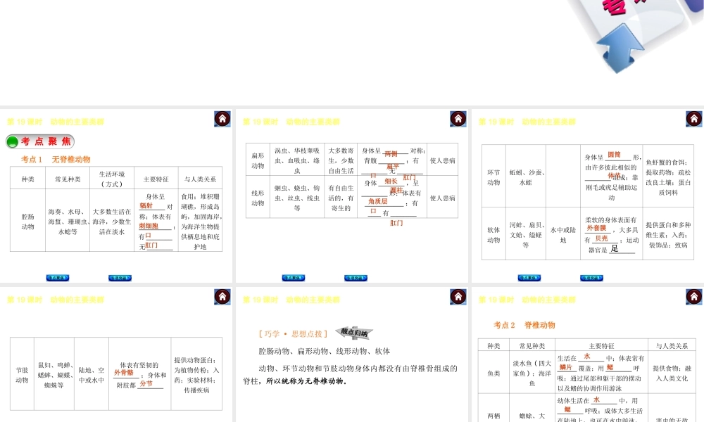 【中考复习方案】2015中考生物总复习 第19课时 动物的主要类群课件（考点聚焦+归类探究+回归教材）