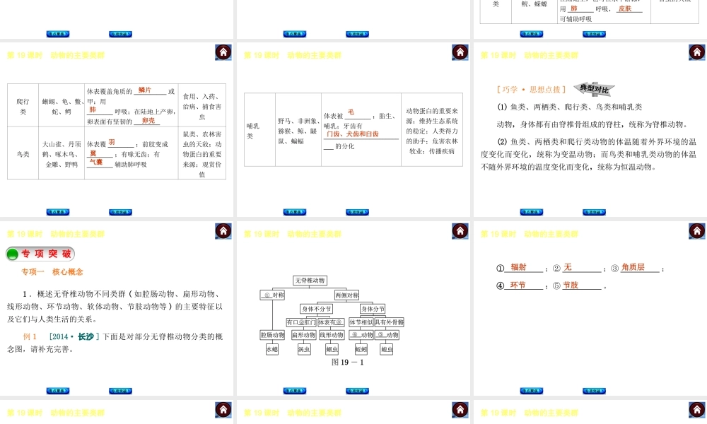 【中考复习方案】2015中考生物总复习 第19课时 动物的主要类群课件（考点聚焦+归类探究+回归教材）