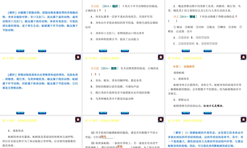 【中考复习方案】2015中考生物总复习 第19课时 动物的主要类群课件（考点聚焦+归类探究+回归教材）