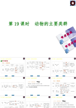 【中考复习方案】2015中考生物总复习 第19课时 动物的主要类群课件（考点聚焦+归类探究+回归教材）