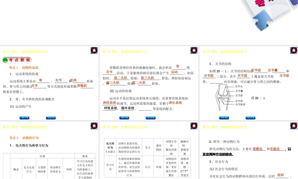 【中考复习方案】2015中考生物总复习 第20课时 动物的运动和行为课件（考点聚焦+归类探究+回归教材）