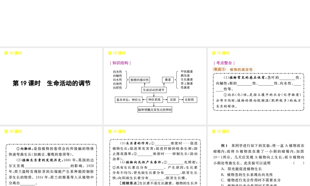 《中考复习方案》九年级科学 第19课时生命活动的调节课件 浙教版