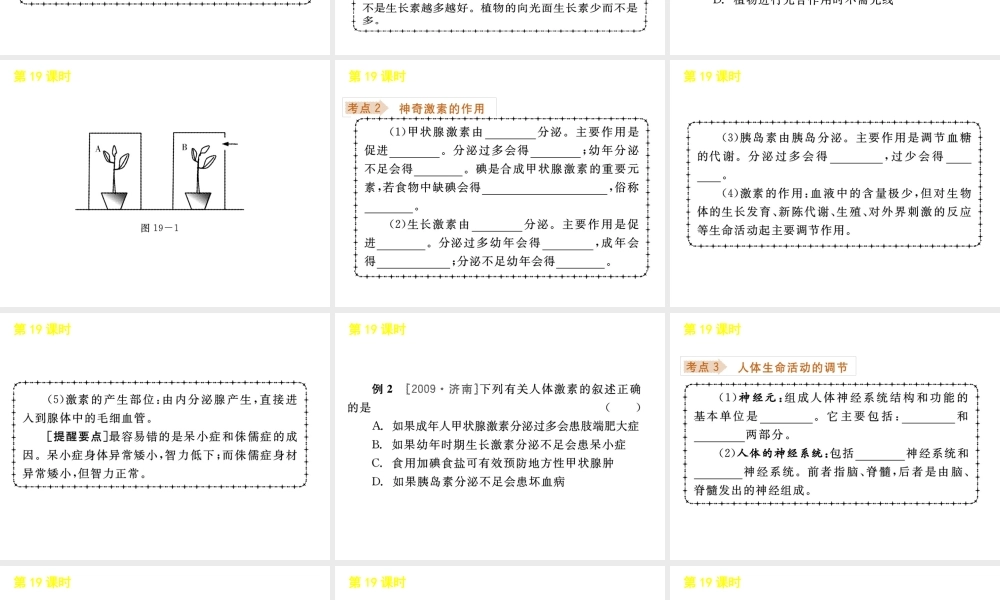 《中考复习方案》九年级科学 第19课时生命活动的调节课件 浙教版