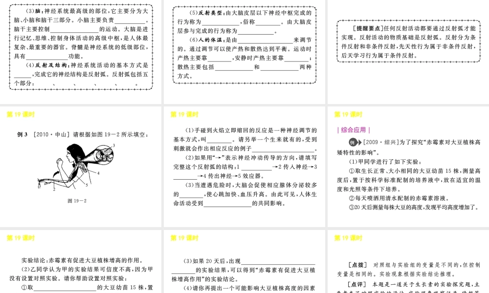 《中考复习方案》九年级科学 第19课时生命活动的调节课件 浙教版