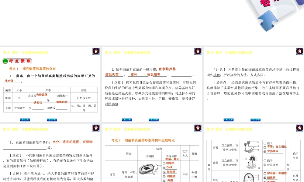 【中考复习方案】2015中考生物总复习 第21课时 生物圈中的微生物课件（考点聚焦+归类探究+回归教材）