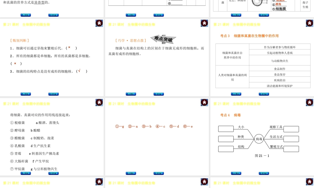 【中考复习方案】2015中考生物总复习 第21课时 生物圈中的微生物课件（考点聚焦+归类探究+回归教材）