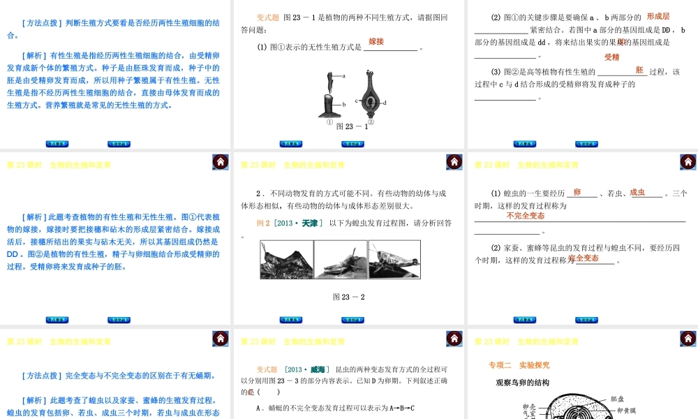 【中考复习方案】2015中考生物总复习 第23课时 生物的生殖和发育课件（考点聚焦+归类探究+回归教材）